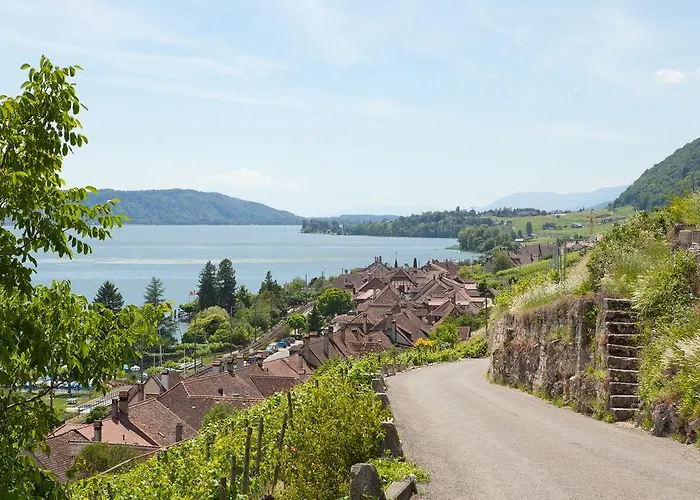 Alpes Et Lac